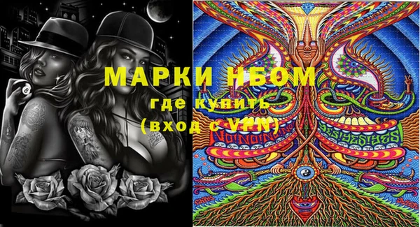 спиды Карталы