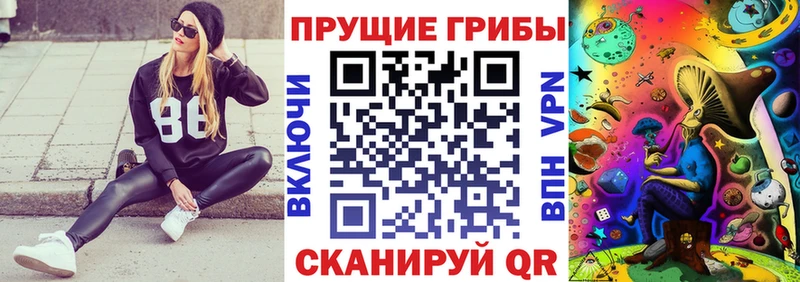 Купить где  Арсеньев  Галлюциногенные грибы Cubensis 