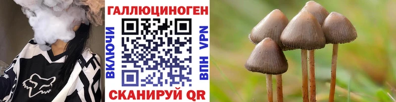 Псилоцибиновые грибы Cubensis Арсеньев